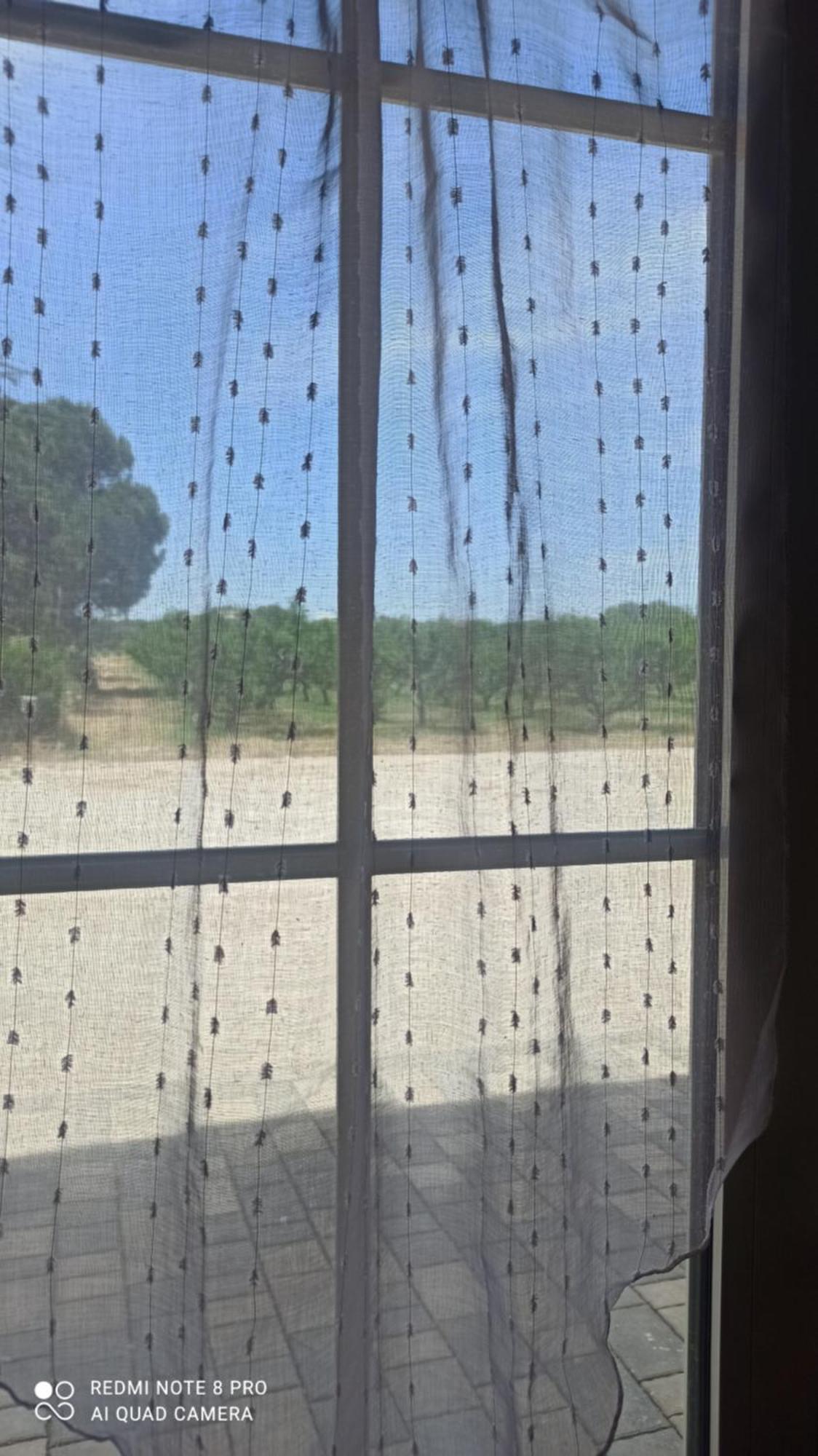 Agriturismo L' Annunziata Lizzano  Værelse billede