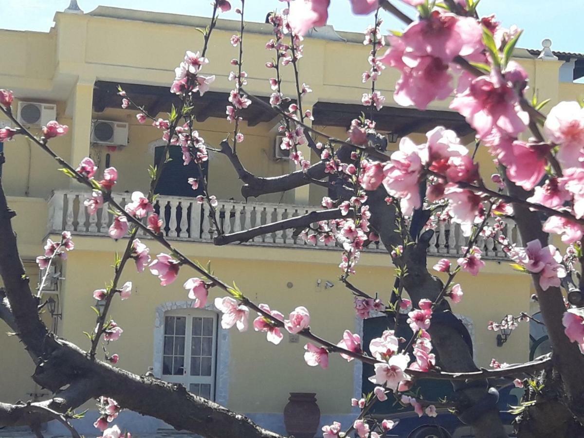 Agriturismo L' Annunziata Lizzano  Eksteriør billede